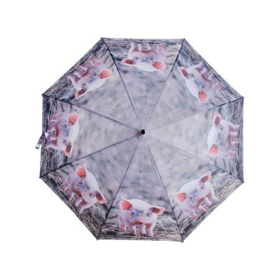 Paraguas Animales de Granja Color